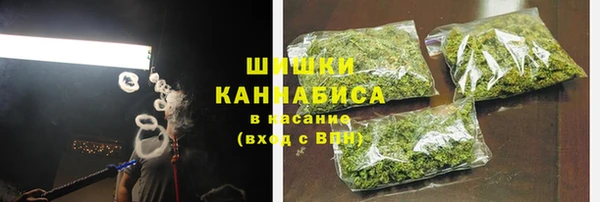 гидра Покачи