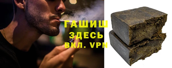 гидра Покачи