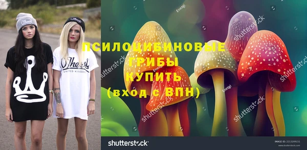 бошки Алзамай